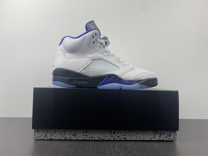 Air Jordan5 CONCORD 6666