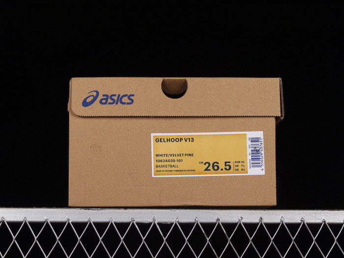 As*ic*s gelhoop v13 