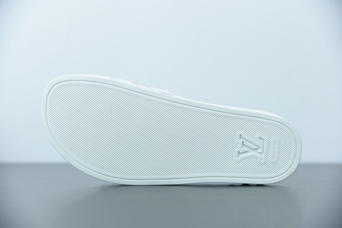 LUSV SLIDE