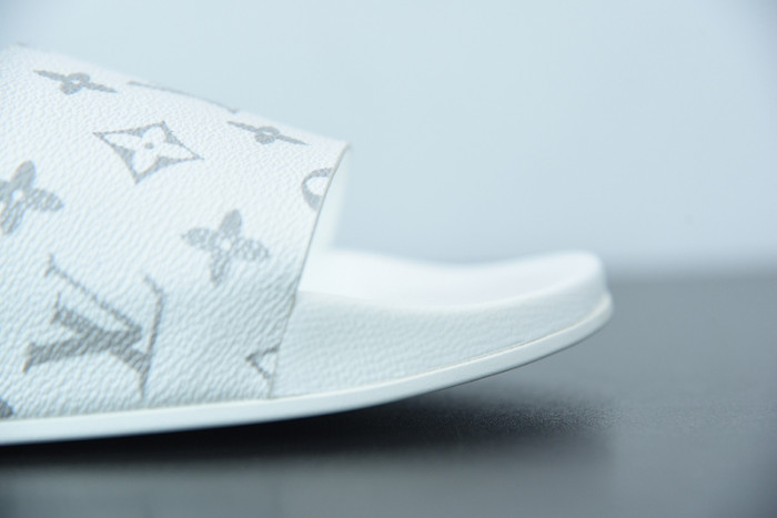 LUSV SLIDE